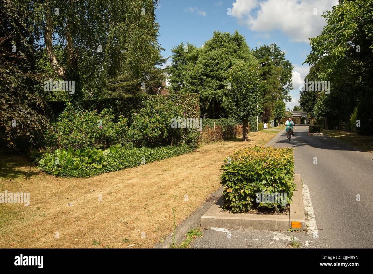 L'illustration montre l'herbe sèche photographiée à Sint-Martens-Latem, le mercredi 27 juillet 2022. De graves sécheresses affectent l'Europe depuis le début de l'année. BELGA PHOTO JAMES ARTHUR GEKIERE Banque D'Images