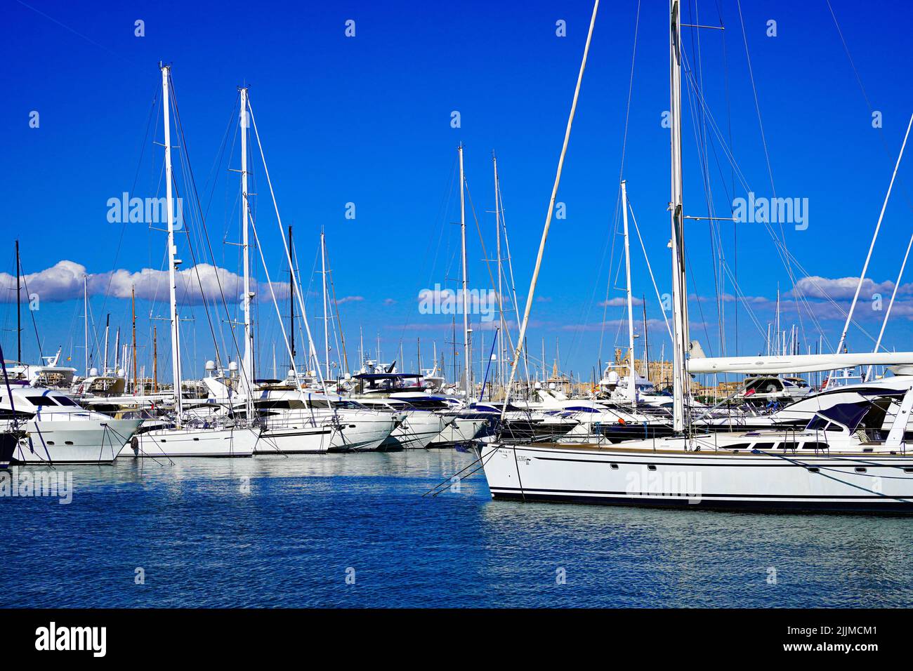 Bateaux à voile et yachts dans le port de Palma de Majorque, la cathédrale de Parme en arrière-plan Banque D'Images