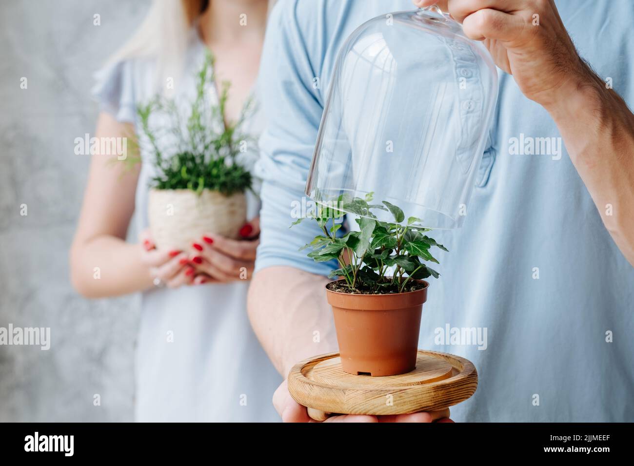 soin des plantes protection de la nature éco couple maison Banque D'Images