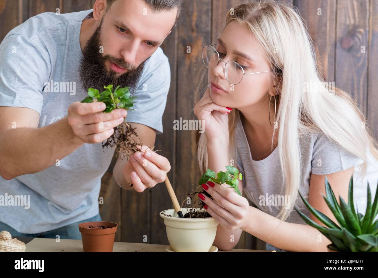 planter des jeunes volontaires éco-famille passe-temps Banque D'Images