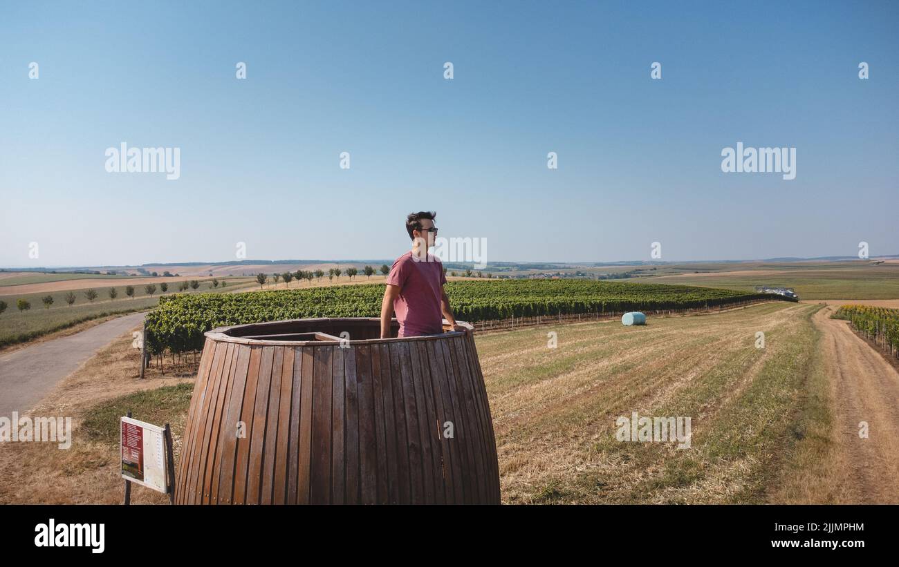 Vue sur un vignoble et un touriste se tenant sur un point de vue par ...