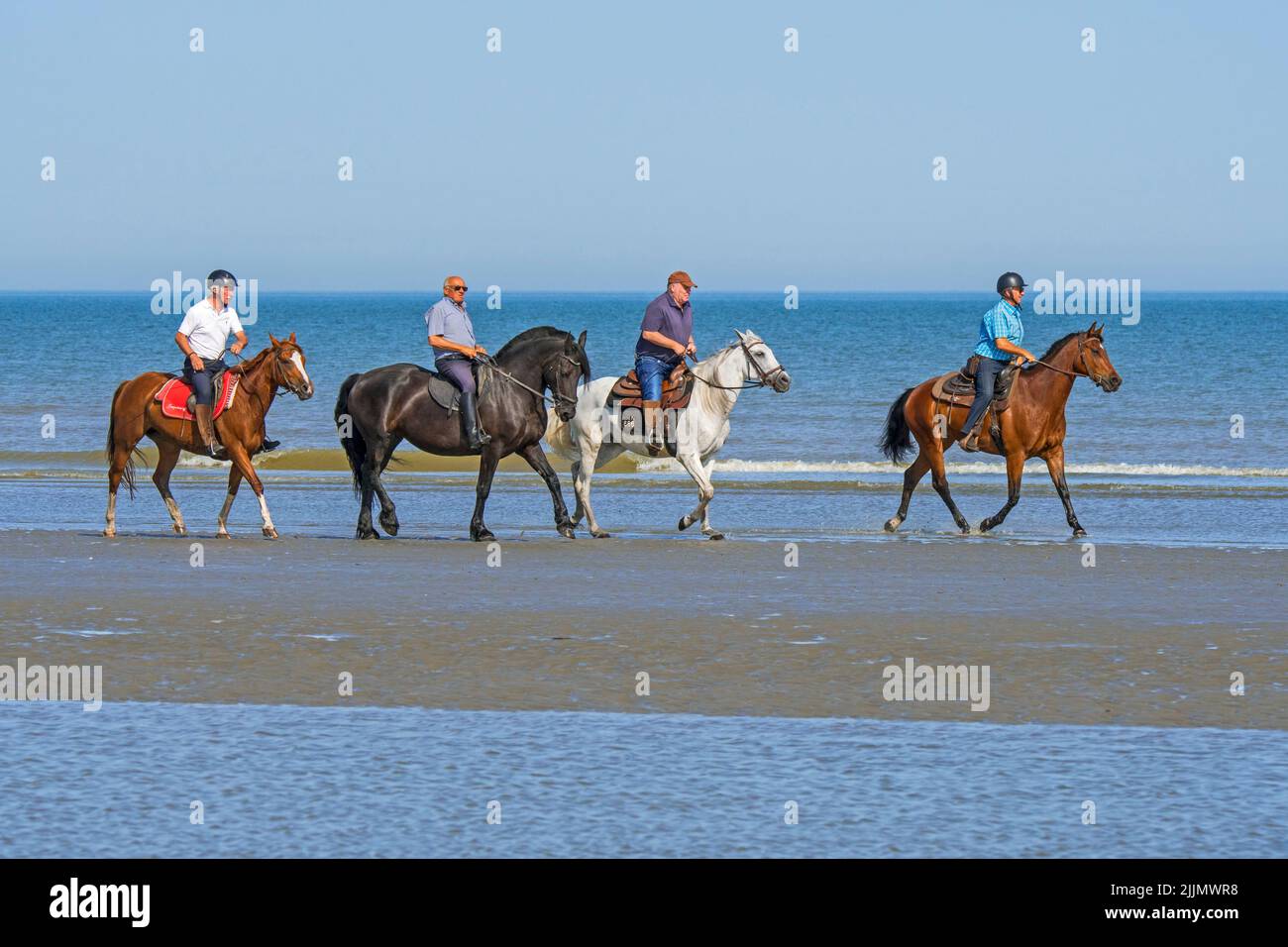 Quatre cavaliers âgés / âgés sur l'équitation sur la plage de sable le long de la côte de la mer du Nord en été Banque D'Images