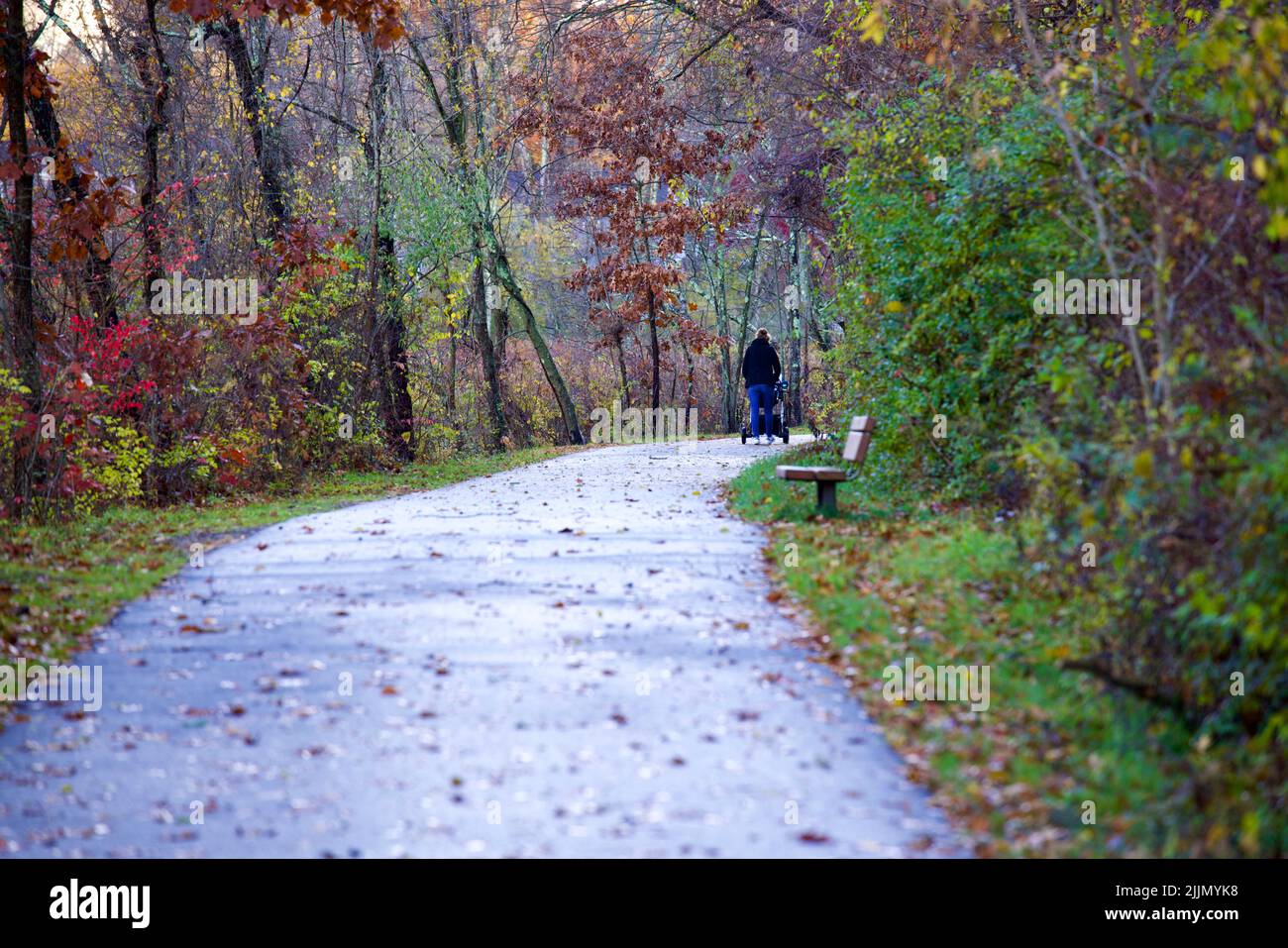 Une belle vue d'une femme poussant une poussette à travers une route dans le parc avec des arbres dans le comté d'Hudson, USA Banque D'Images