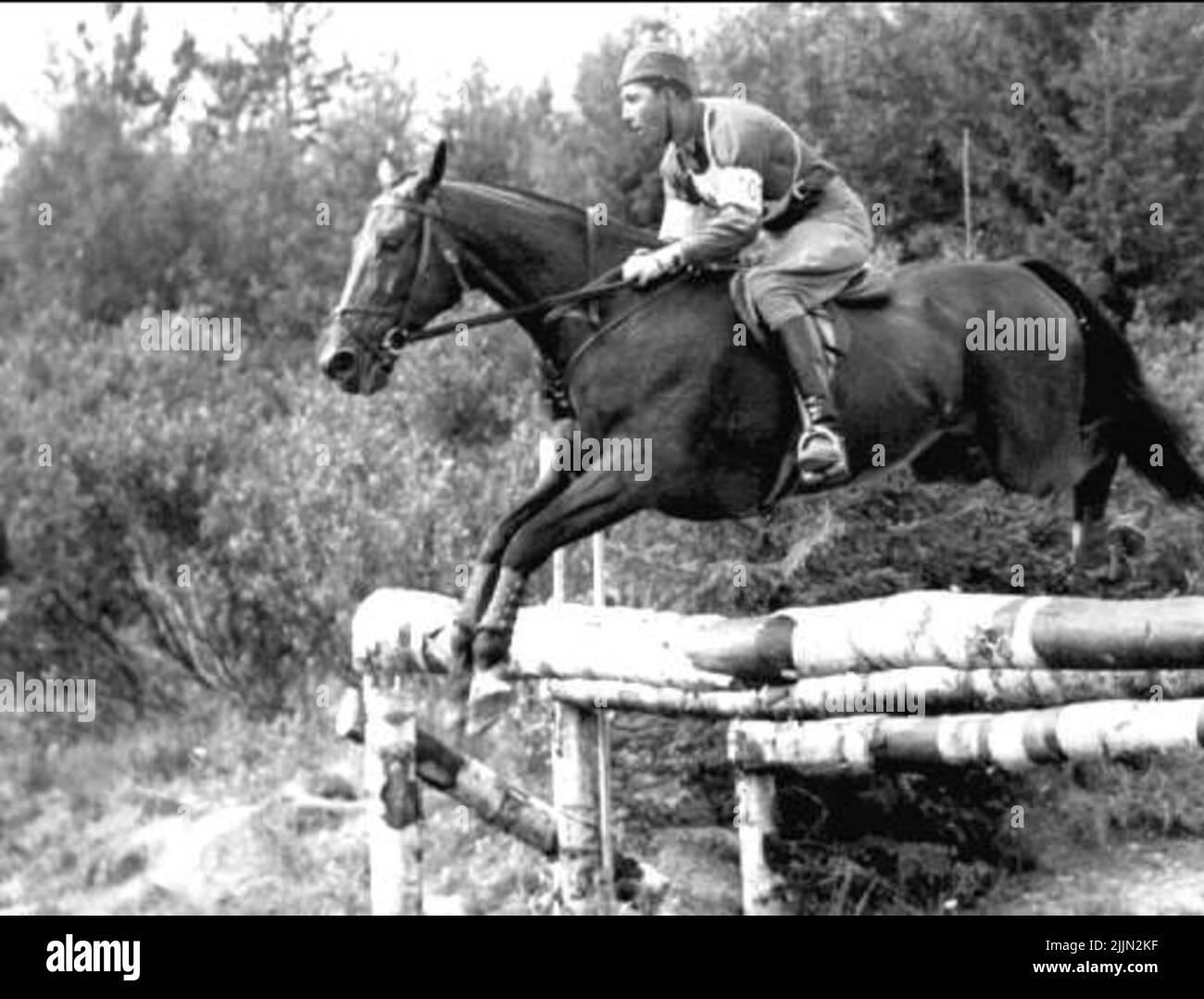 Lors de la XV Olympiade à Helsinki en 1952, le maître de rider Frihern Hans von Blixen-Finecke a remporté la médaille d'or dans la compétition de terrain avec Jubal, tombé après la lumière O'Love **- Printonan Boy **. Le nombre de démarreurs était de 59, dont 34 sont restés à l'épreuve finale en sautant. L'équipe a été remportée par Hans von Blixen-Finecke, Olle Stahre, T 2, sur le Comet, et Folke Frölén, K 4, au salon. Jubal élevé à Rönö Kungsgård par le propriétaire Karlberg. Banque D'Images