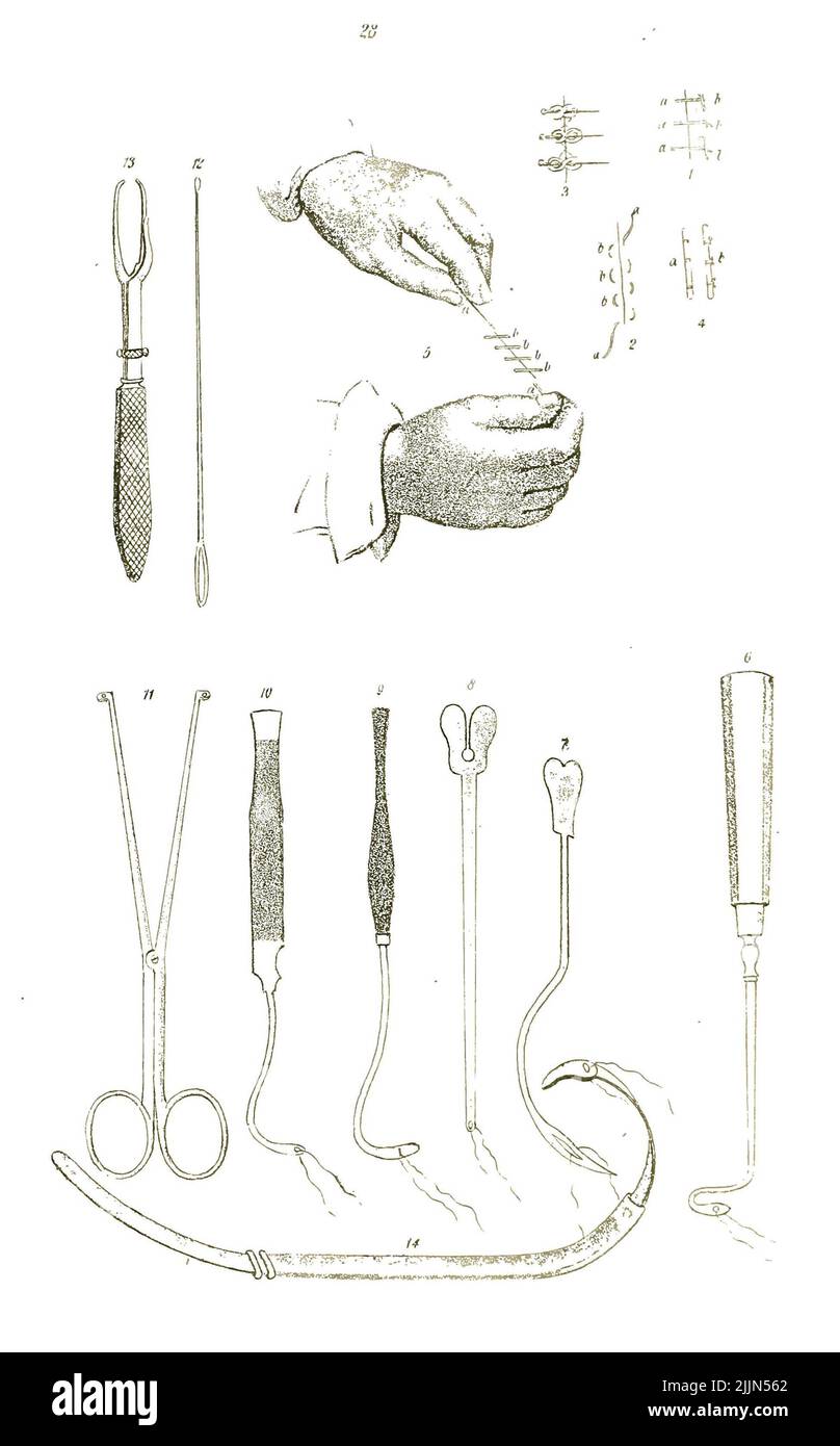 Un manuel d'anatomie du XIXe siècle en noir et blanc Banque D'Images Un manuel d'anatomie du XIXe siècle en noir et blanc Banque D'Images