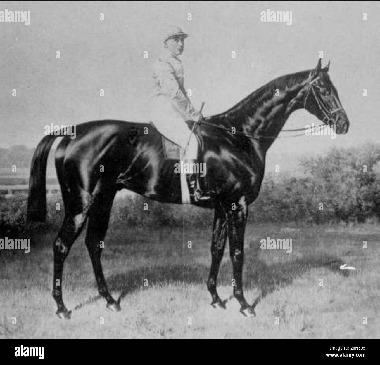 G.V Gunnersbury, Primadonna. Banque D'Images