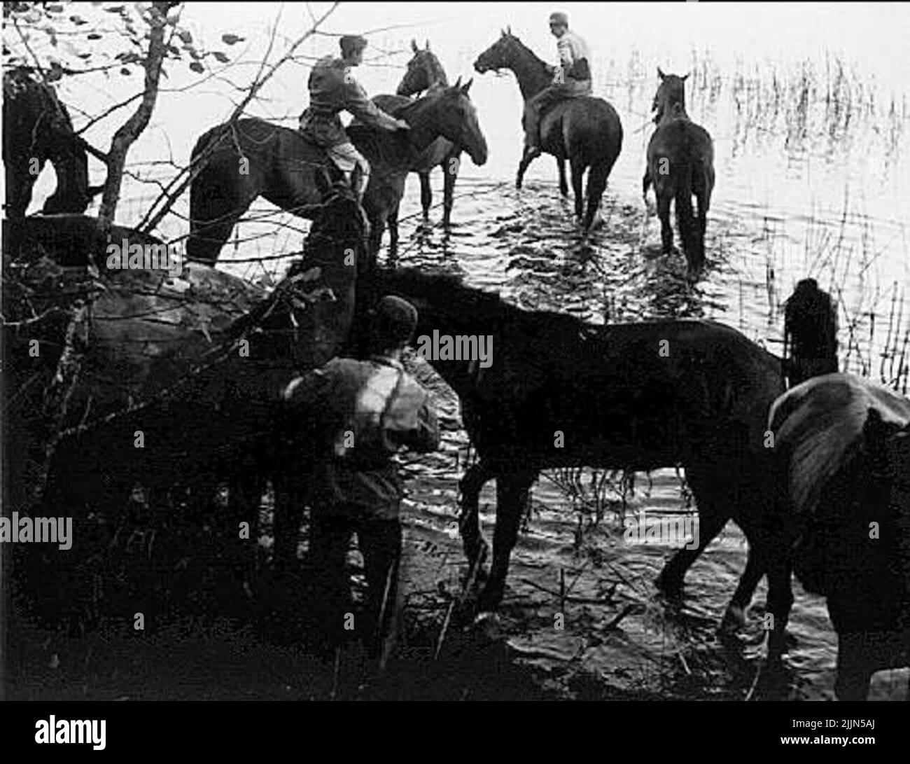L'arrosage. Banque D'Images