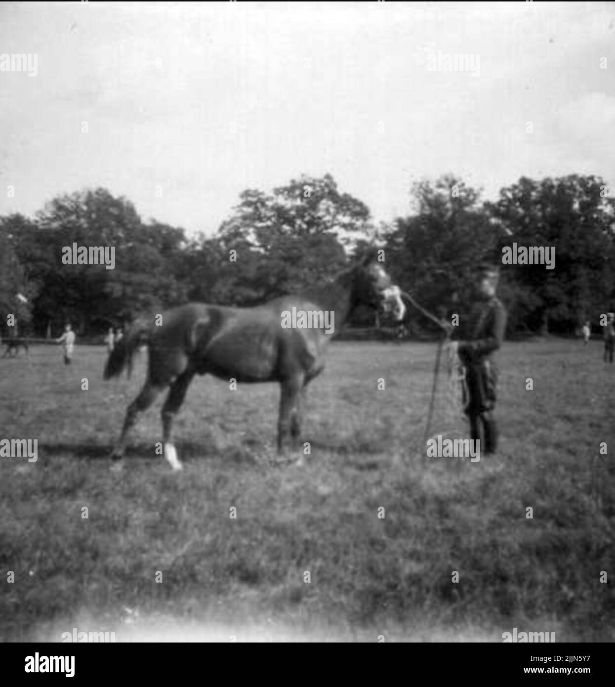 L'officier de cavalerie suivant a obtenu un diplôme d'officier à Karlberg en 1923, puis a fréquenté l'école de pilotage à Strömsholm 1924-25. Carl-Axel Stackelberg K 1, Sven Littorin K 3, Nils Frost K 4, Sven Axel Torén K 5, Carl Otto Smith K 6, Erik Wikland K 6. « Désir ». Banque D'Images