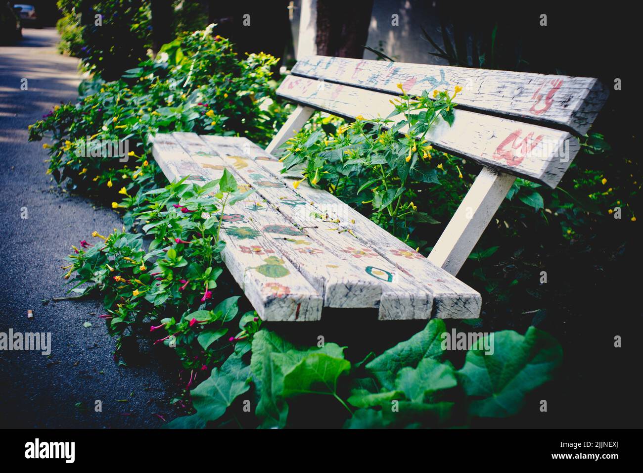 Un vieux banc en bois avec des peintures entourées de plantes Banque D'Images