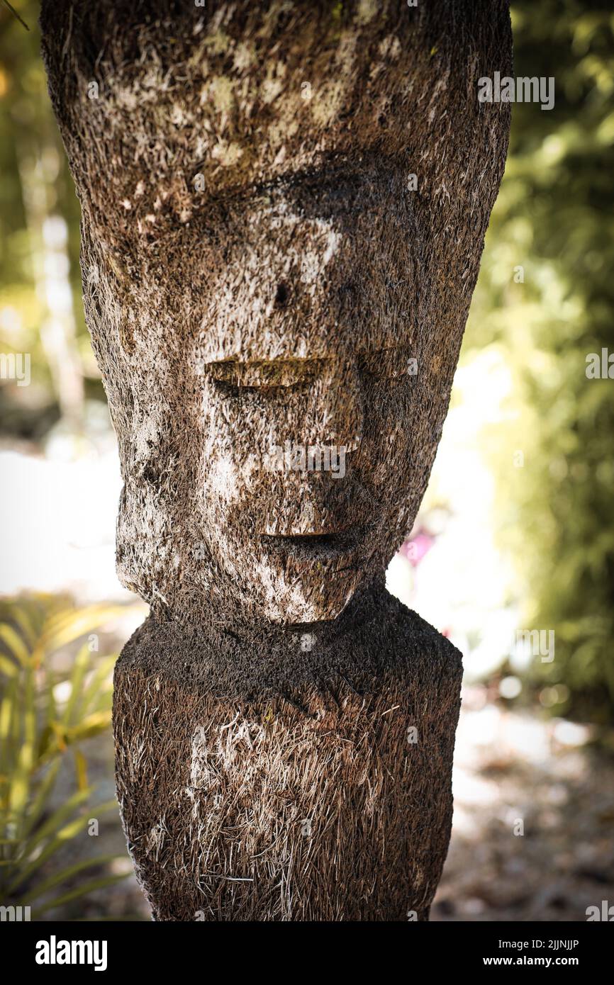 Un cliché vertical d'un visage sculpté dans un rocher à Fidji Banque D'Images