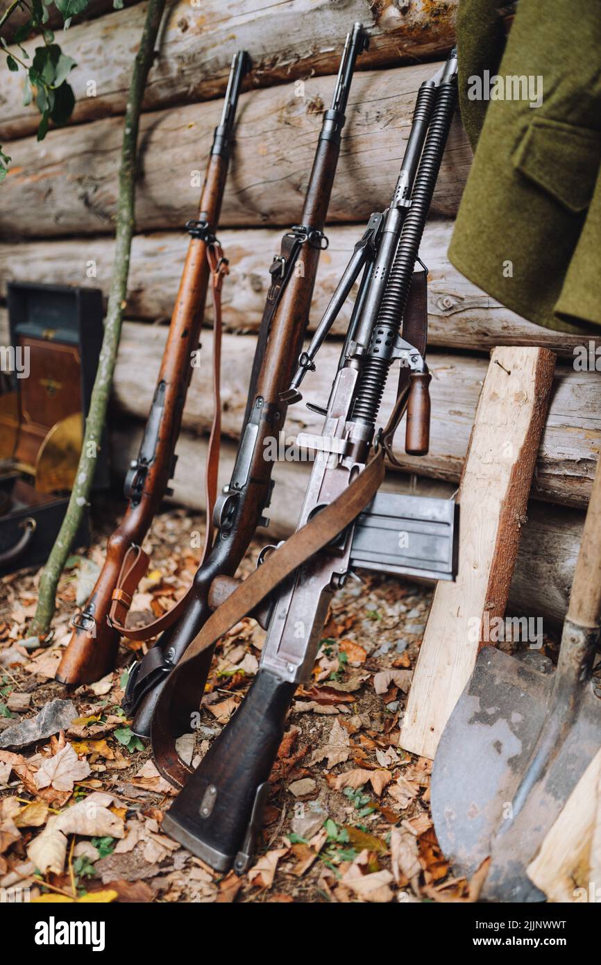 Un gros plan d'armes penchées sur une maison en bois dans un jardin Banque D'Images