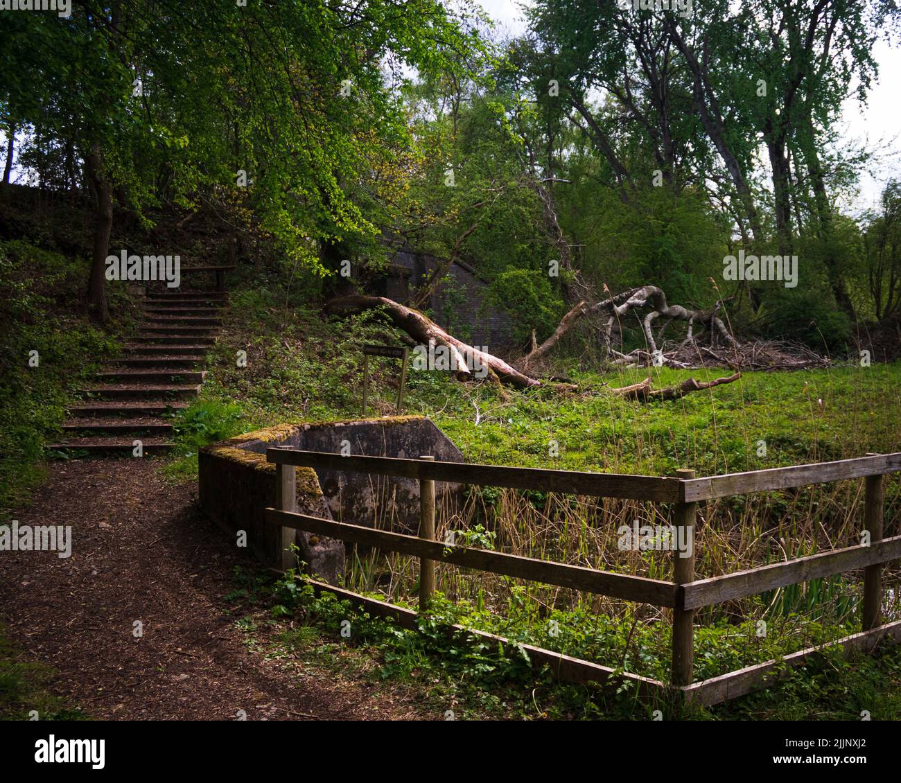 Une belle photo d'un vieux parc avec des arbres Banque D'Images
