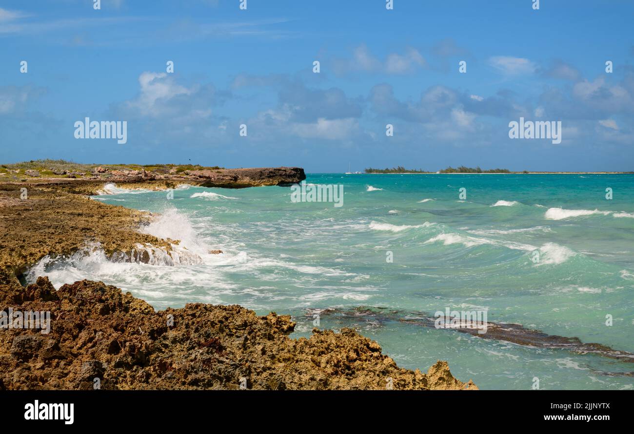 Corail rocailleux Cuba océan rivage Banque D'Images