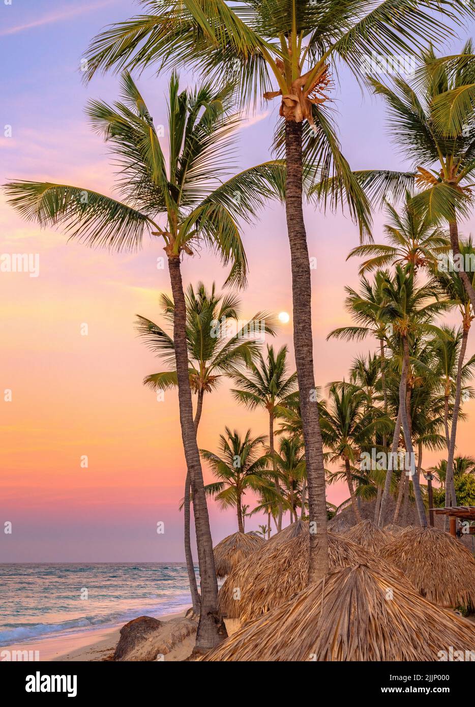 Coucher de soleil ciel coloré avec palmiers et lune sur une plage tropicale Banque D'Images