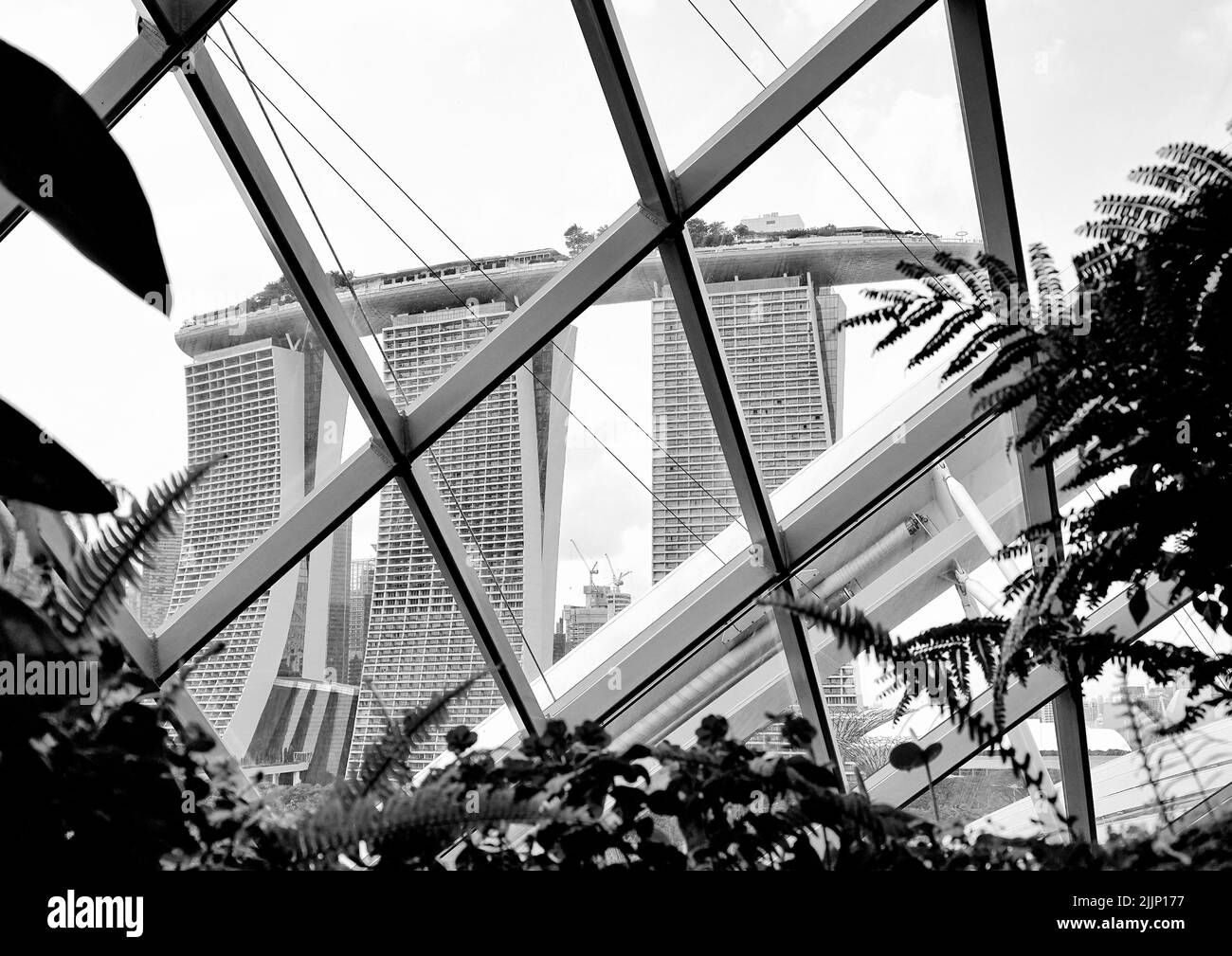 Une photo en niveaux de gris de l'intérieur de la forêt nuageuse de la baie de Binhai donnant sur l'hôtel Marina Bay Sands Banque D'Images