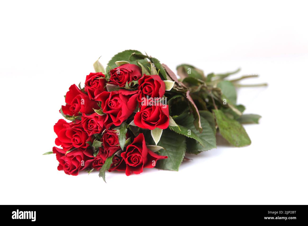 Un beau bouquet de roses rouges isolées sur fond blanc Banque D'Images
