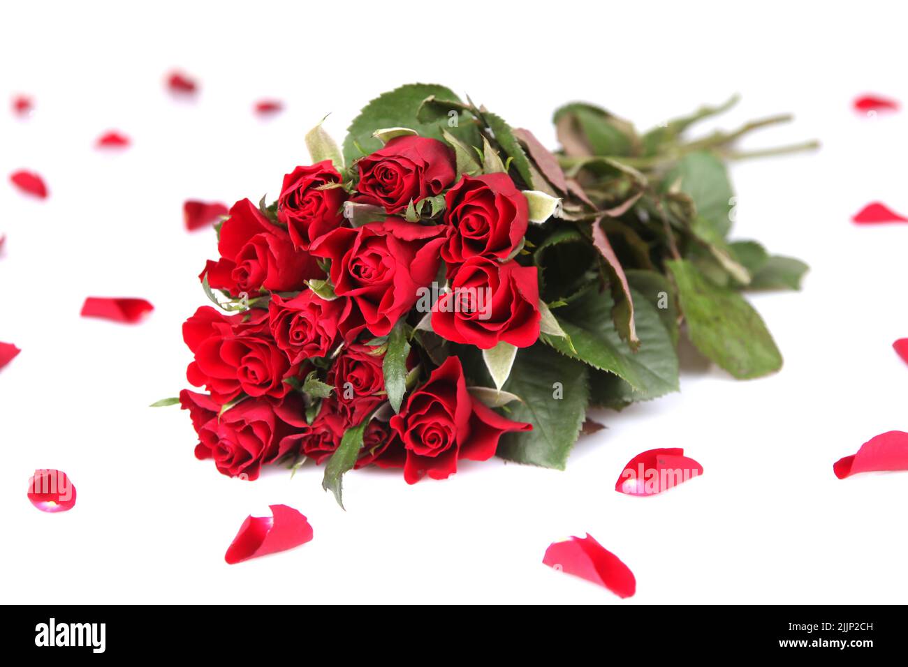 Un beau bouquet de roses rouges isolées sur fond blanc Banque D'Images