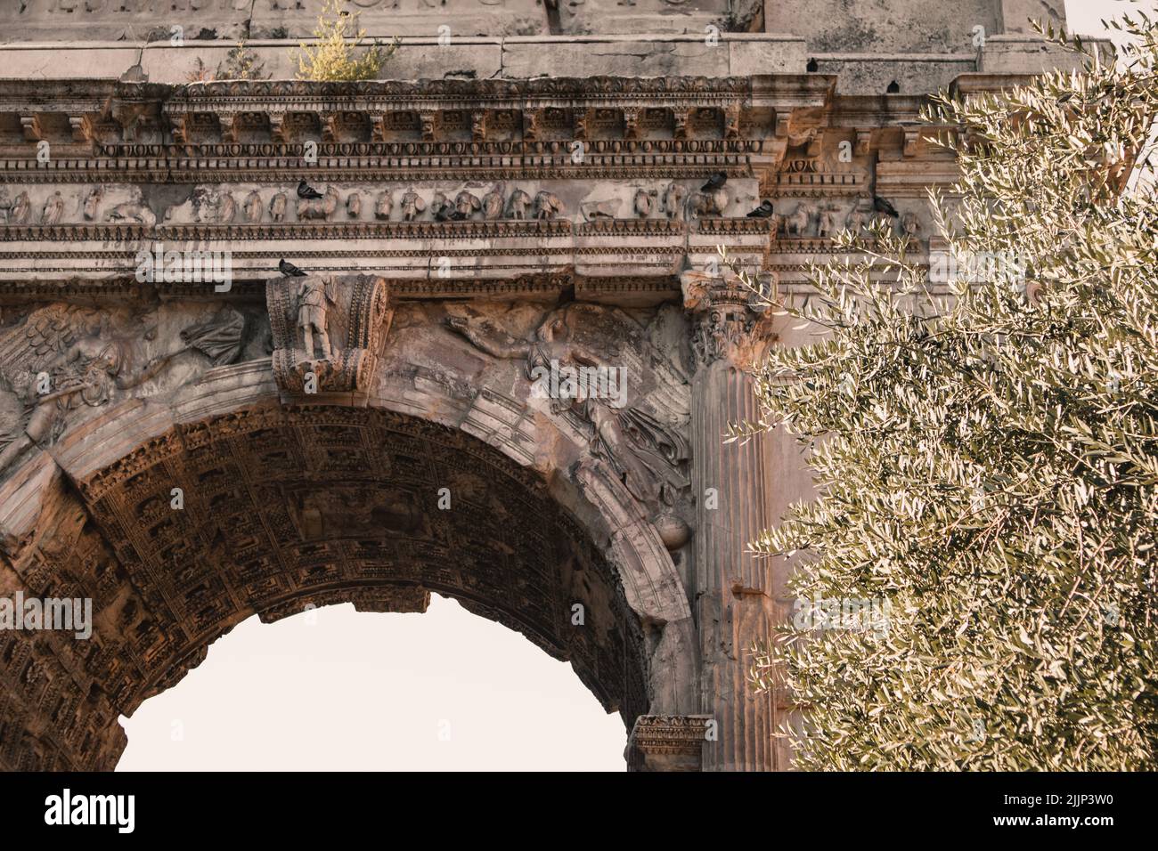 Gros plan de l'Arc de Titus, Rome, Italie Banque D'Images