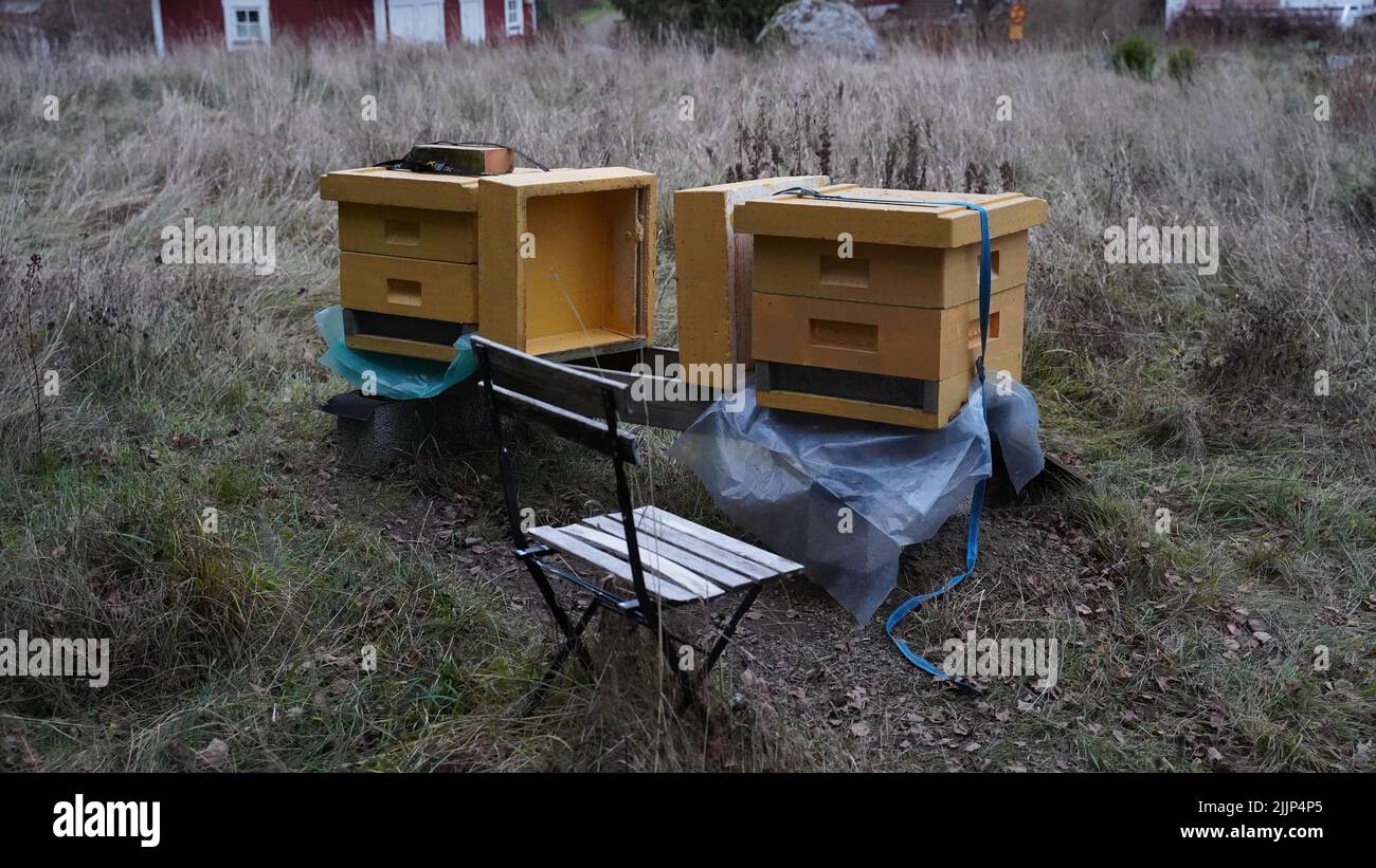 Un gros plan de deux ruches et une petite chaise dans un champ Banque D'Images