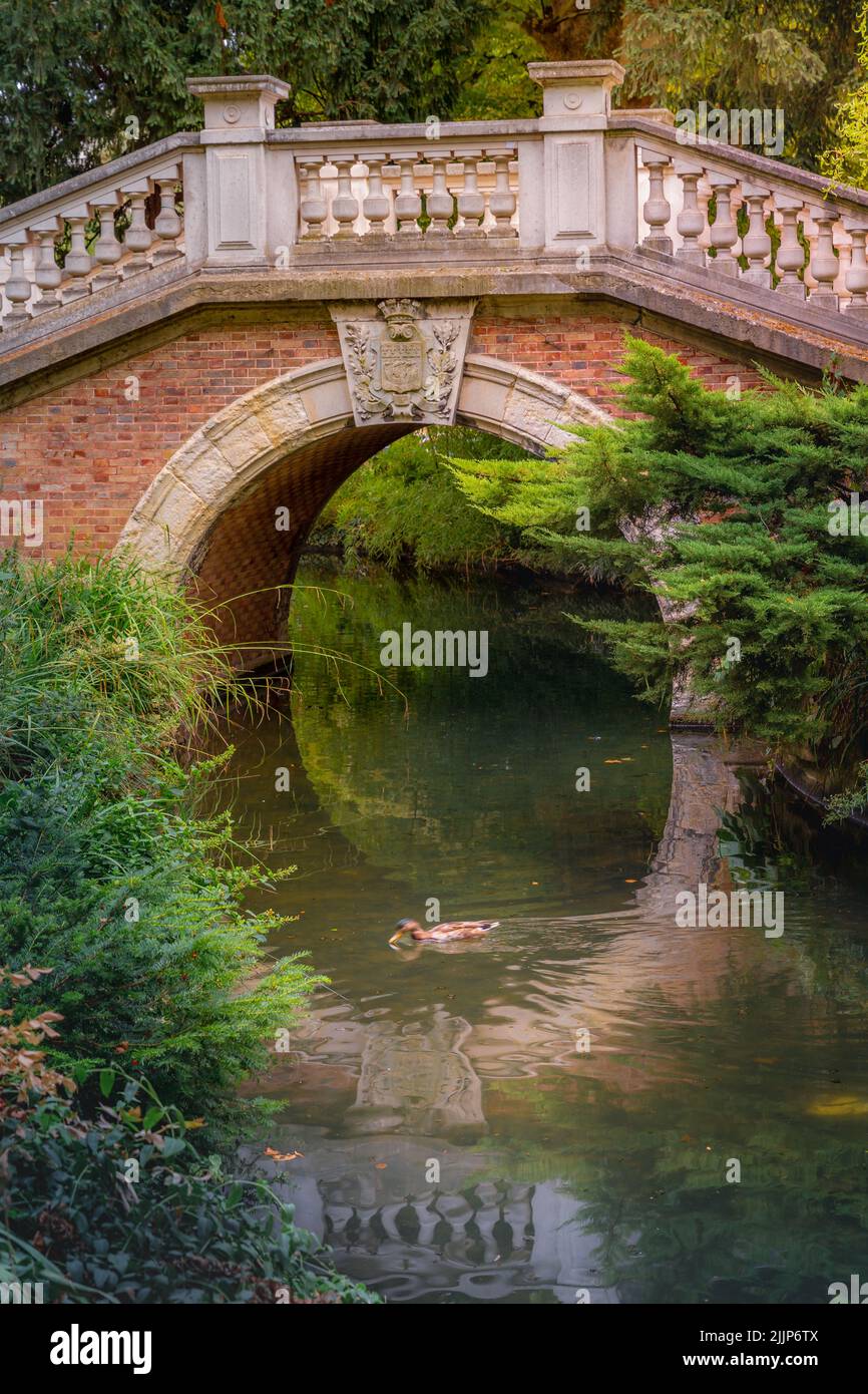 Pont au-dessus de l'étang avec réflexion au Parc Monceau, Paris, France Banque D'Images