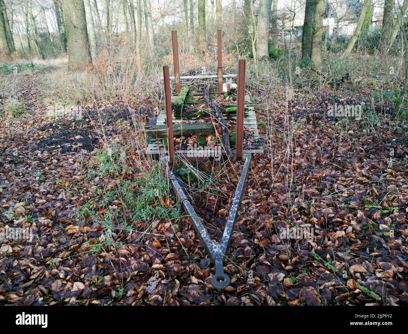Une vieille carte dans une forêt surcultivée Banque D'Images