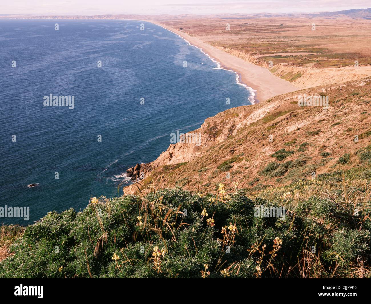 Vue en hauteur sur la côte ouest du littoral national de point Reyes, Californie. Banque D'Images