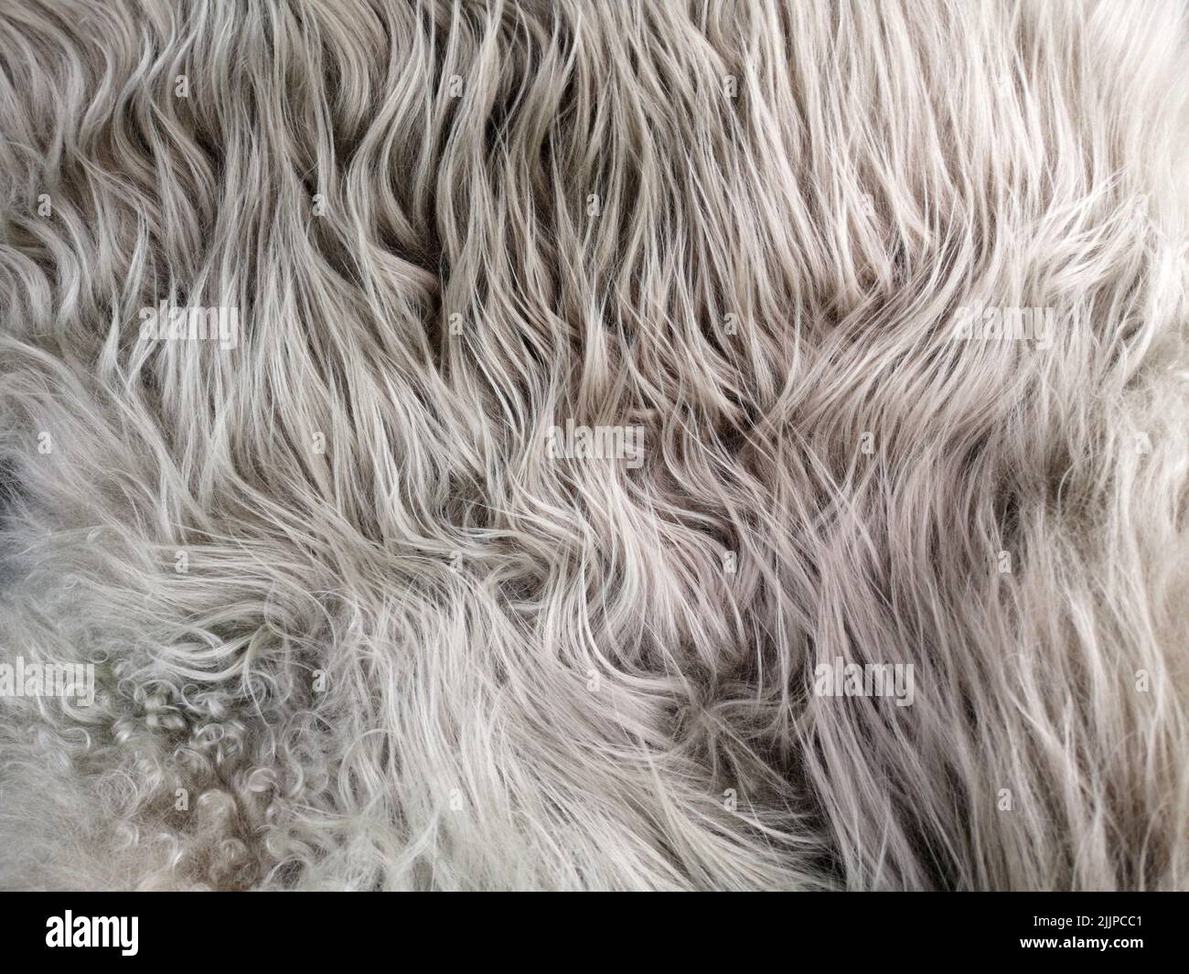 Gros plan d'une texture de laine grise Banque D'Images