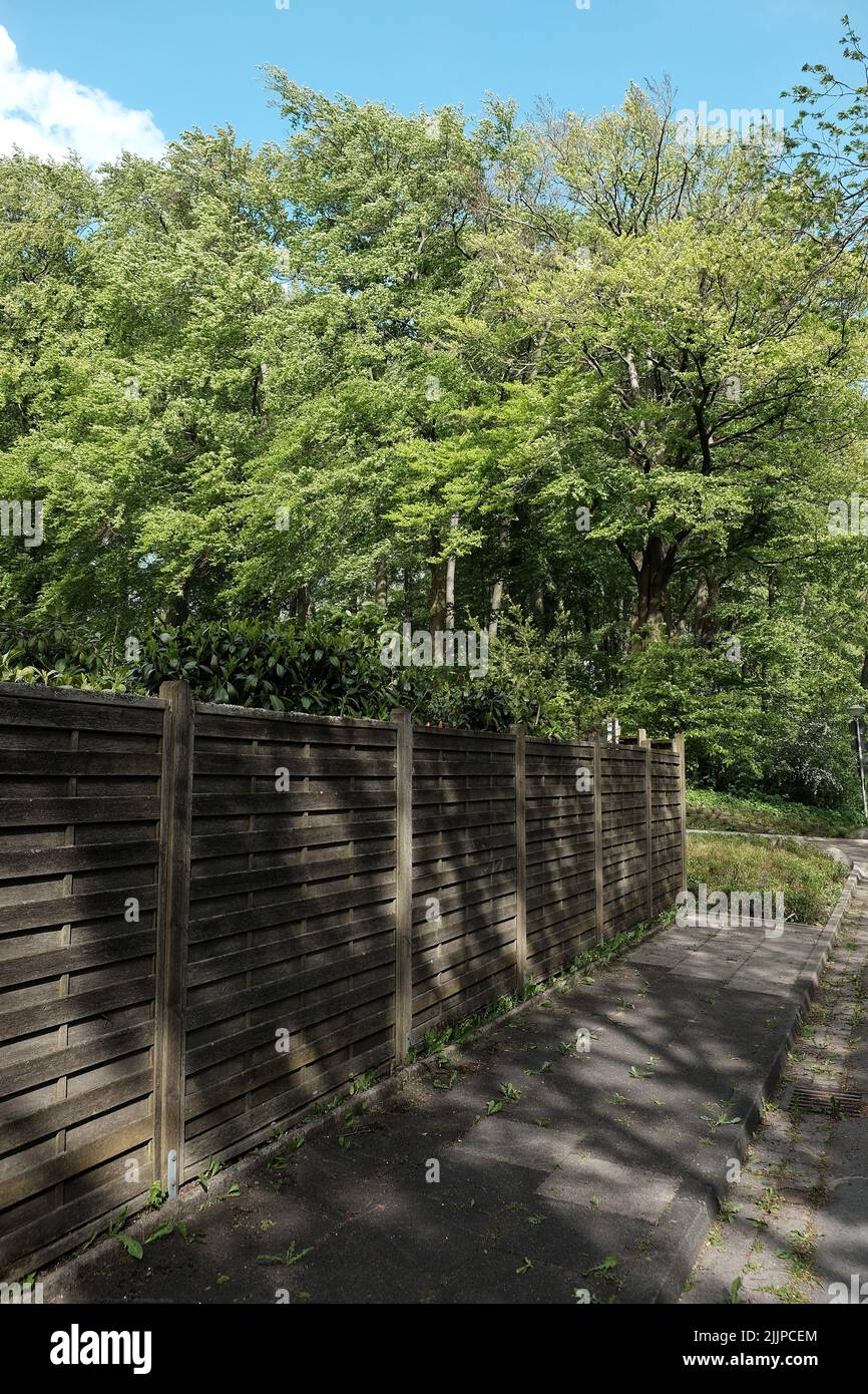 Une clôture en bois près d'une forêt dense et verte Banque D'Images