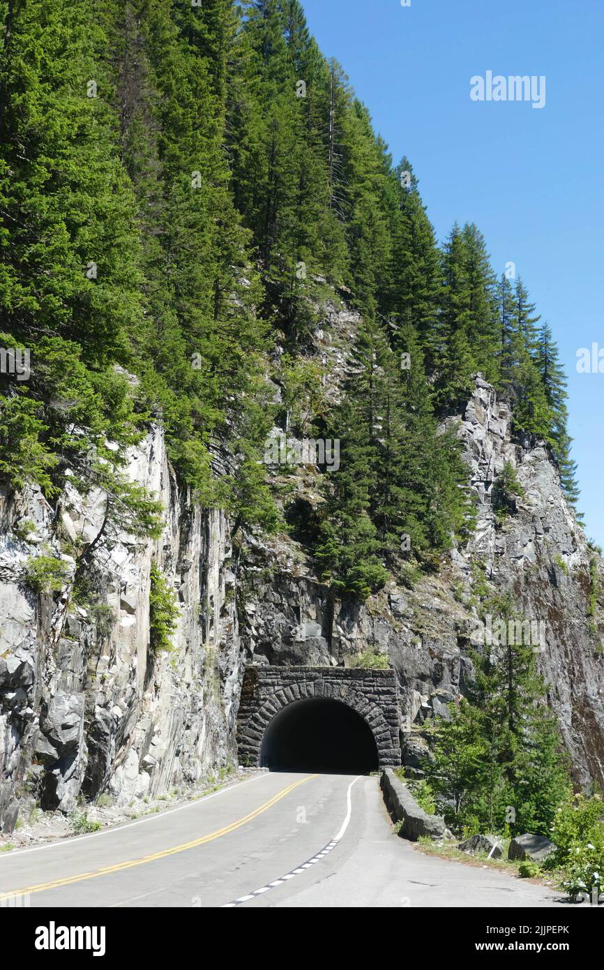 Photo verticale d'un tunnel routier dans le parc national du Mont Rainier à Washington, aux États-Unis Banque D'Images