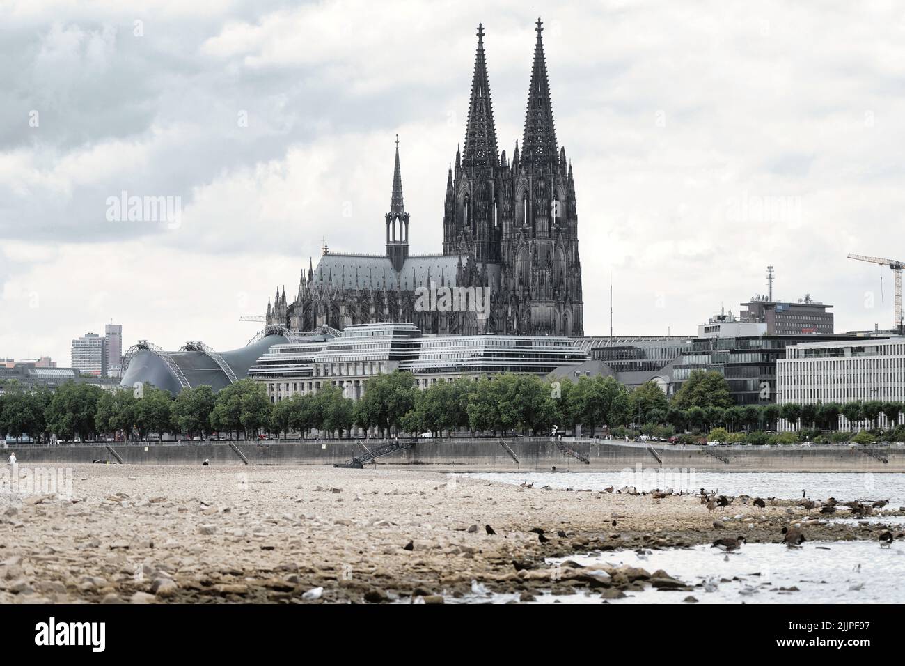 Cologne, Allemagne 27 juillet 2022: Niveau d'eau bas sur le rhin à cologne Banque D'Images