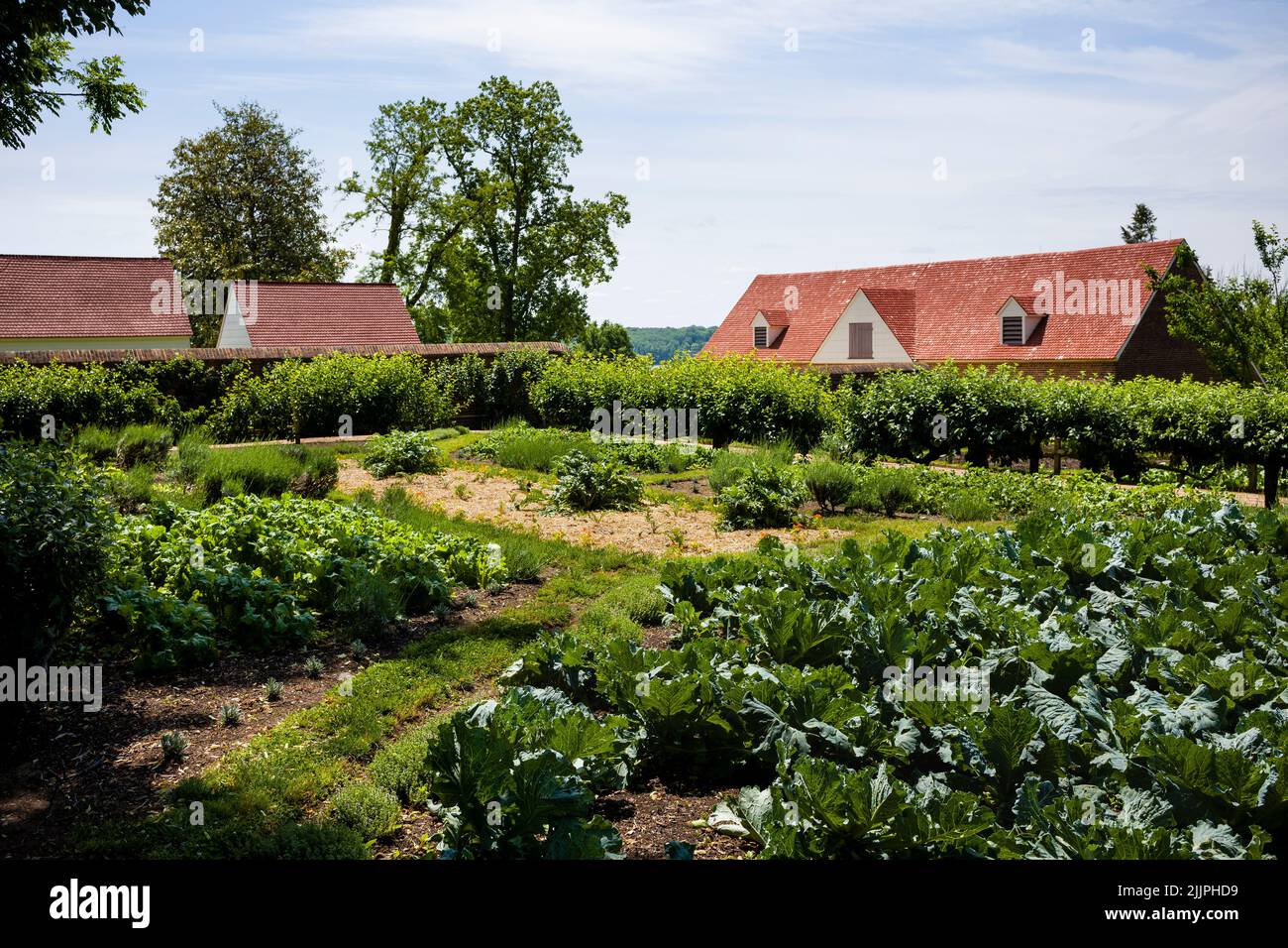 LOWER GARDEN MOUNT VERNON VIRGINIA ÉTATS-UNIS Banque D'Images