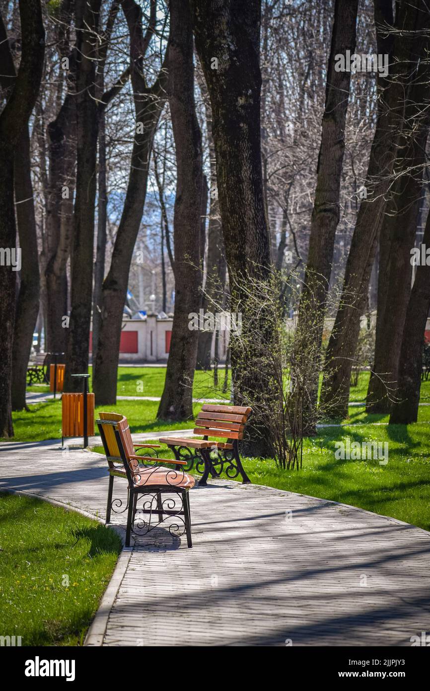 Une photo verticale de bureaux en bois dans le jardin par une journée ensoleillée à Lasi, Roumanie Banque D'Images
