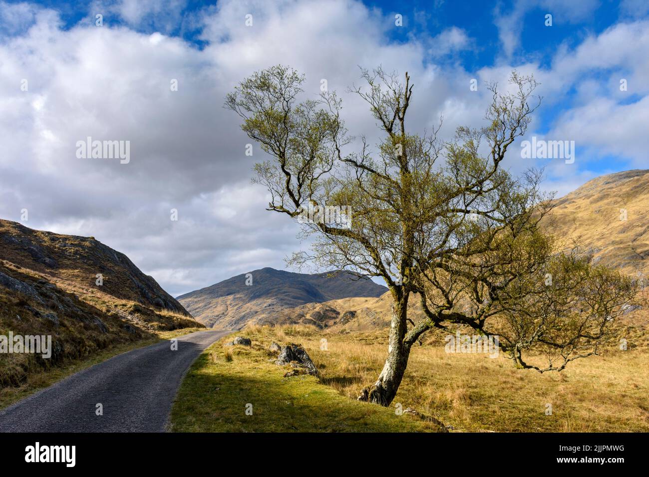 Buidhe Bheinn de la route à voie unique de Glen Garry, près du Loch an Doire Duibh, au-dessus de Kinloch Hourn, région des Highlands, Écosse, Royaume-Uni. Banque D'Images
