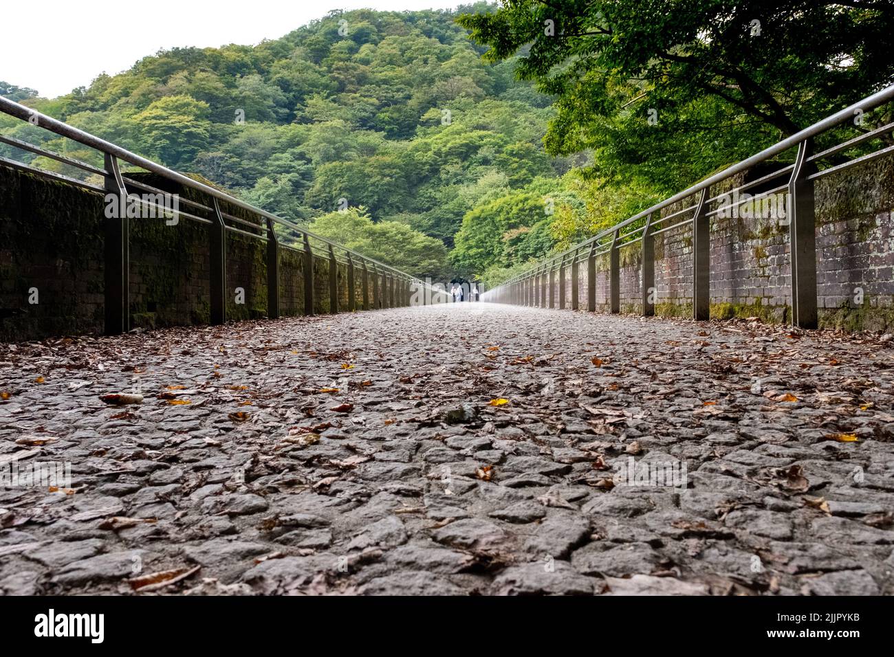 Gros plan sur le pont Menage-Bashi, un pont en pierre historique de 17th siècles qui enjambe la rivière Nakashima, connue pour ses arches doubles. Banque D'Images