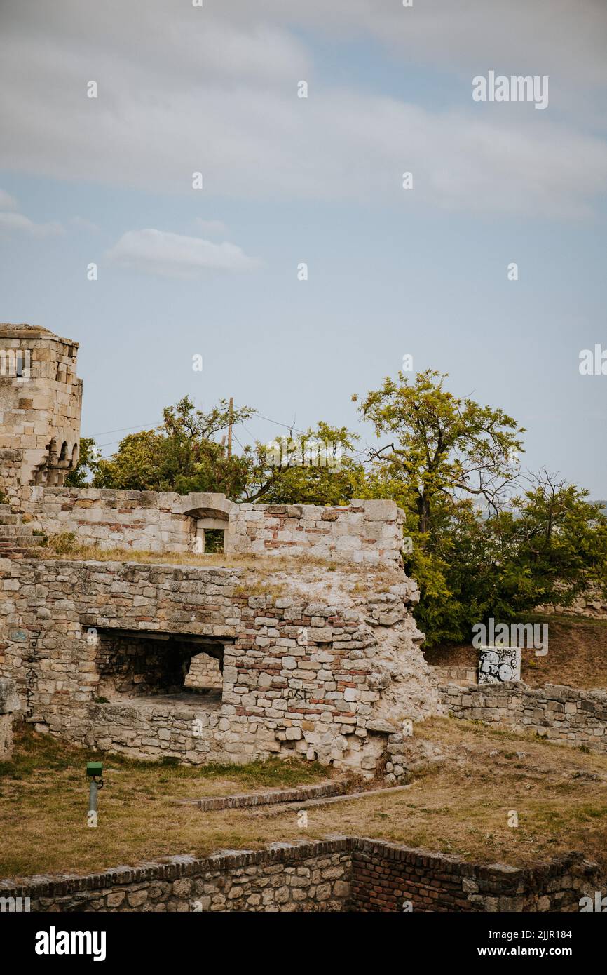Une photo verticale d'une ancienne forteresse entourée d'arbres verts Banque D'Images