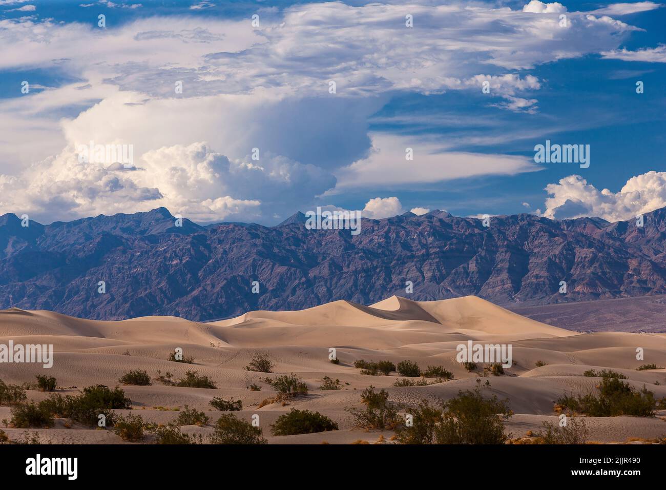 Death Valley Sand Dunes et Mountain Range Landscape, Californie, États-Unis d'Amérique Banque D'Images