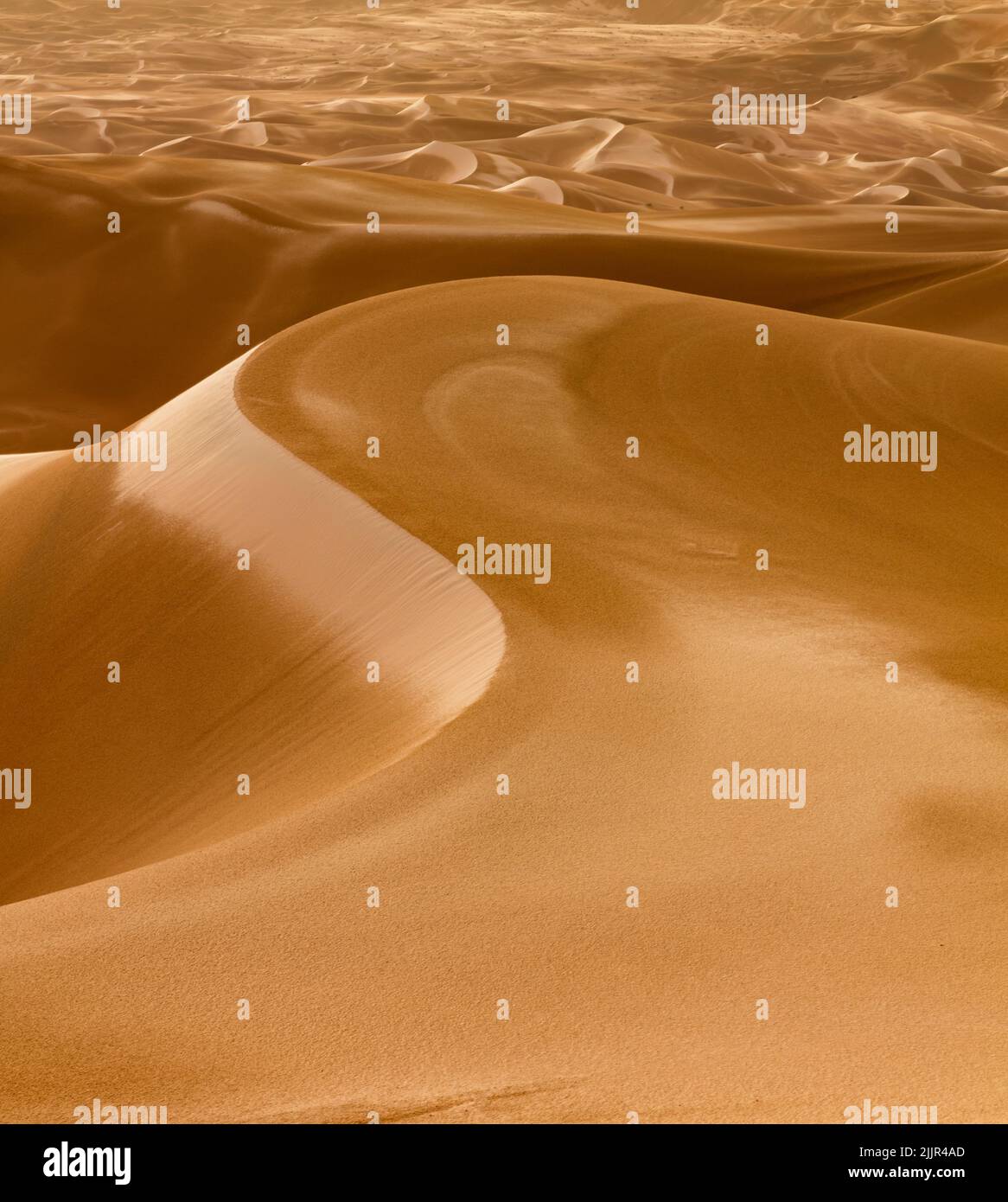 Des dunes sans fin se ruant dans le désert du quartier vide de RUB'al Kali aka juste après la pluie, un paysage très rare, Abu Dhabi, eau Banque D'Images
