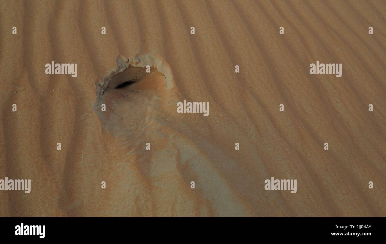 Un trou dans la dune est la maison d'une souris du désert Banque D'Images