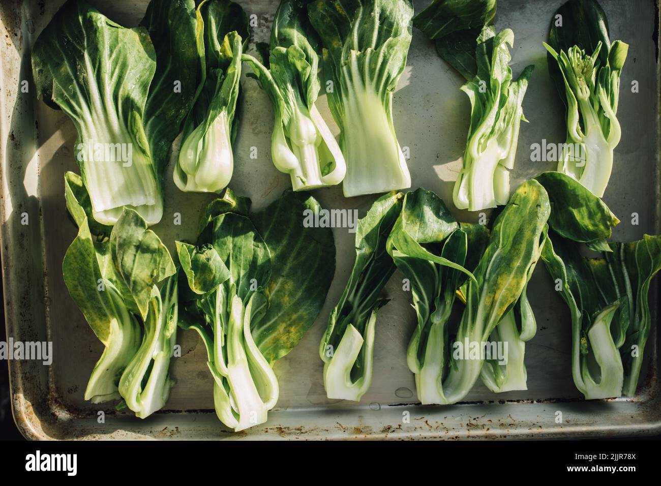 Une vue de dessus de bok choy frais sur une plaque de cuisson prête à être rôtie au four Banque D'Images