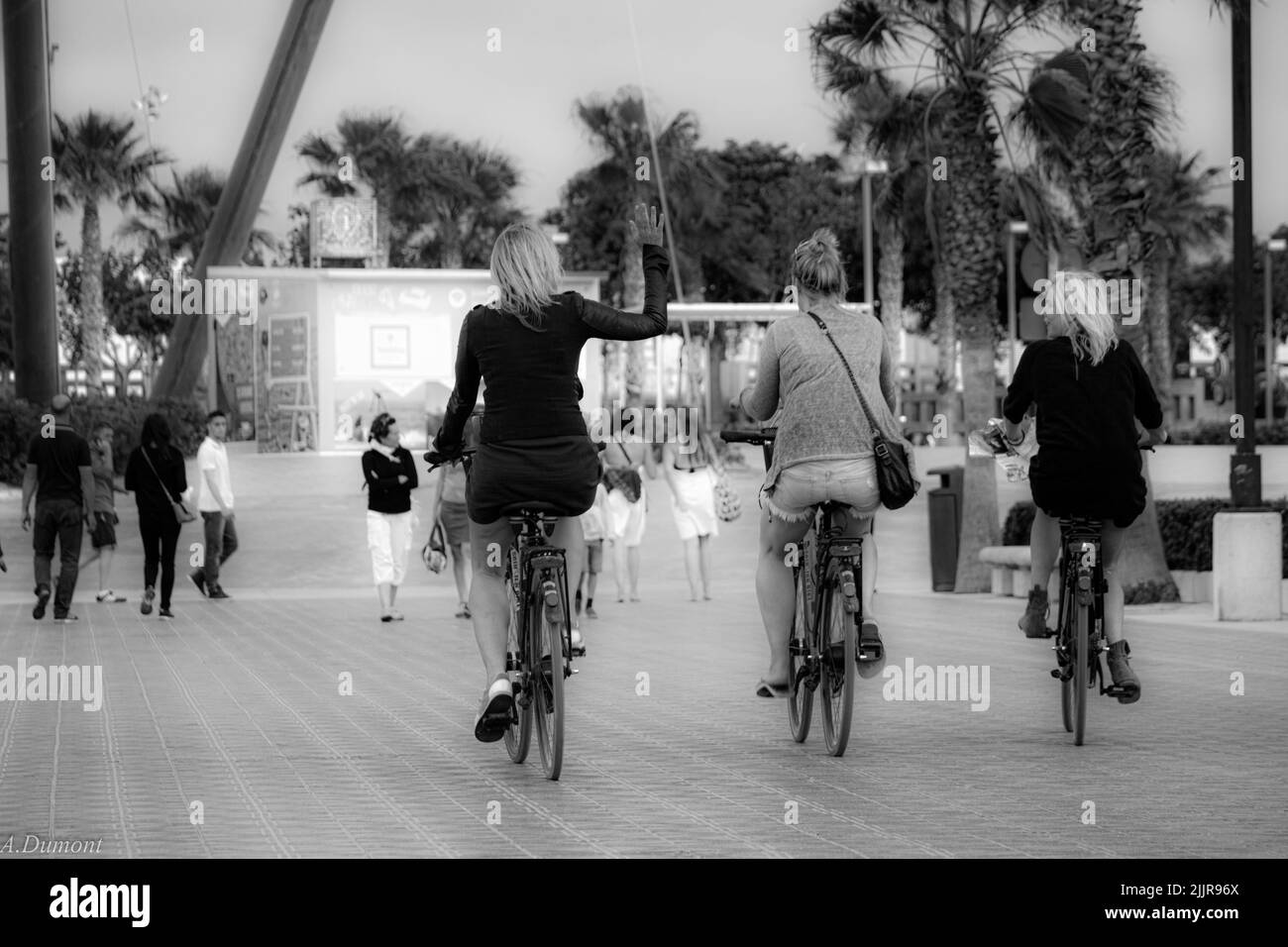 Une photo en niveaux de gris de trois femmes qui font du vélo en plein air Banque D'Images