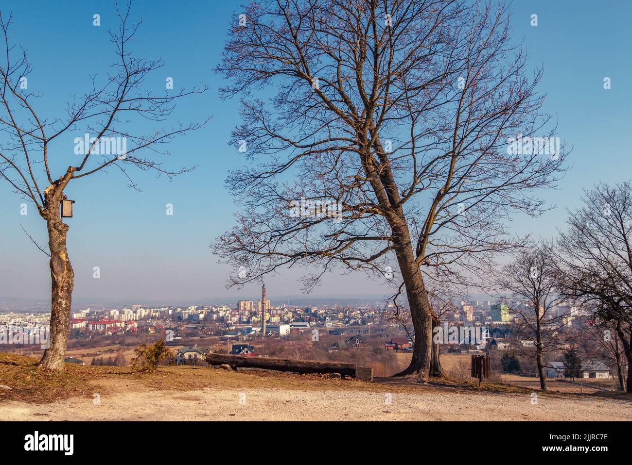 Les arbres sans feuilles sur un sol sec et le paysage urbain avec des bâtiments élevés contre un ciel clair Banque D'Images