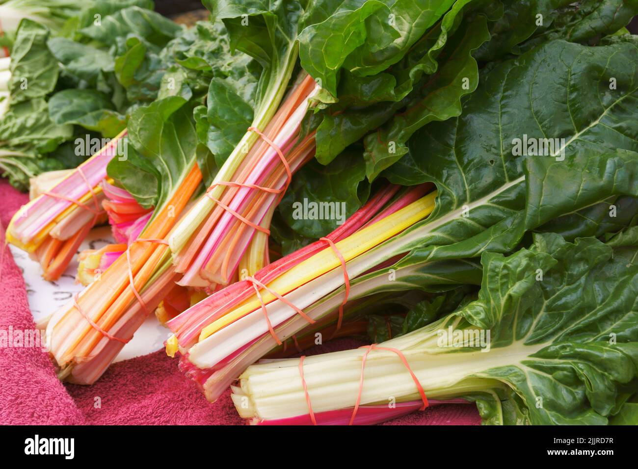 Un gros plan de liasses de feuilles de Chard suisse Banque D'Images