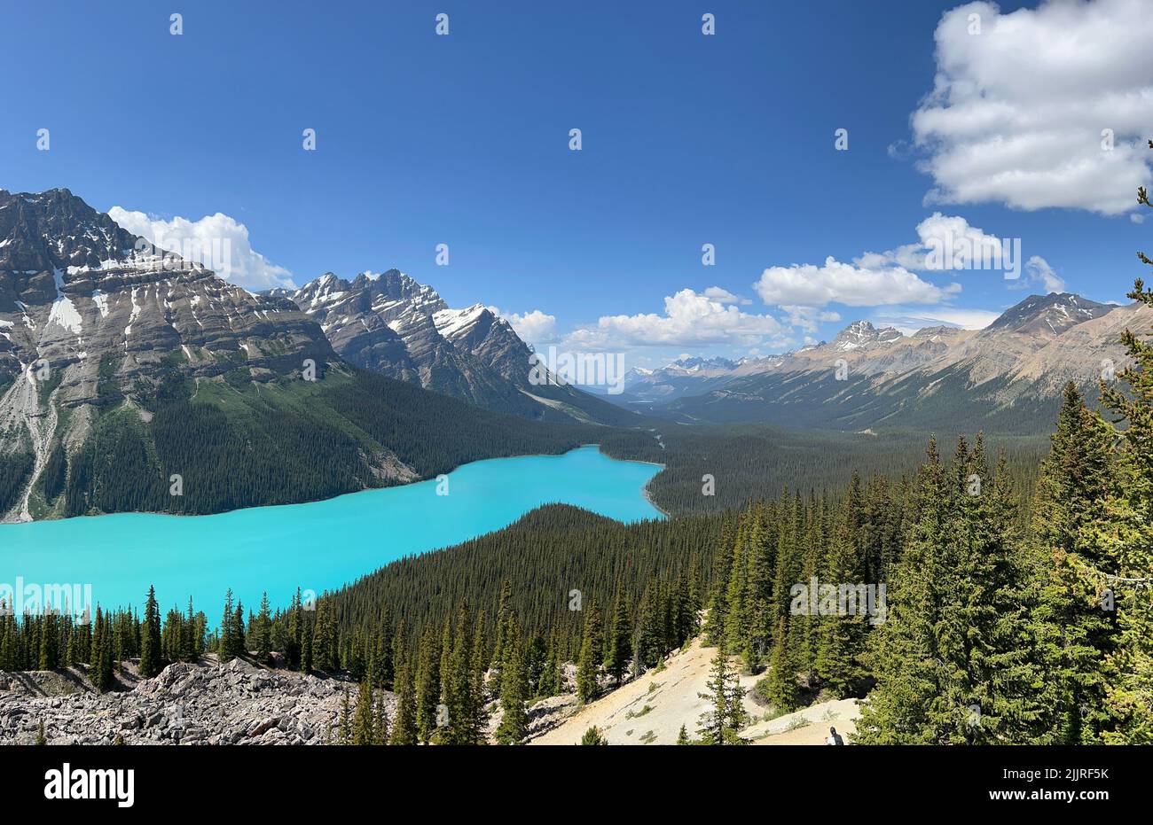 Parc national du lac Peyto de Banff au Canada. Lac alpin de couleur bleue en Alberta, Canada. Banque D'Images