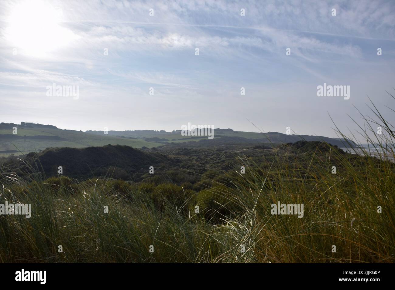 Une vue panoramique sur la chaîne de montagnes des Pyrénées avec des forêts verdoyantes en France Banque D'Images
