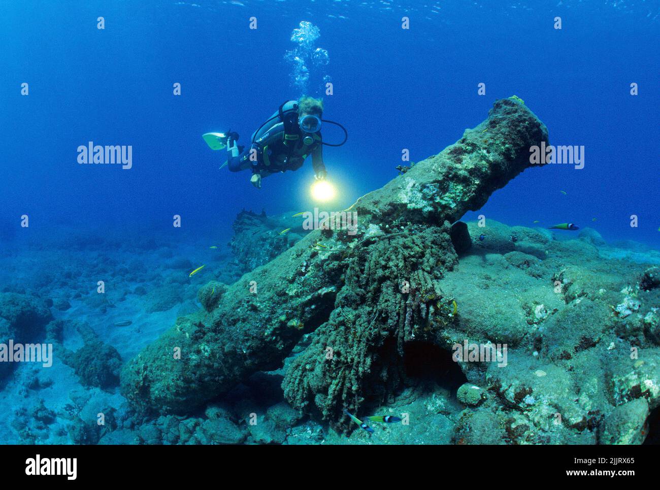Plongée sous-marine Découvrez un vieux canon historique sur les fonds marins, Saint-Eustache, Antilles néerlandaises, Caraïbes Banque D'Images