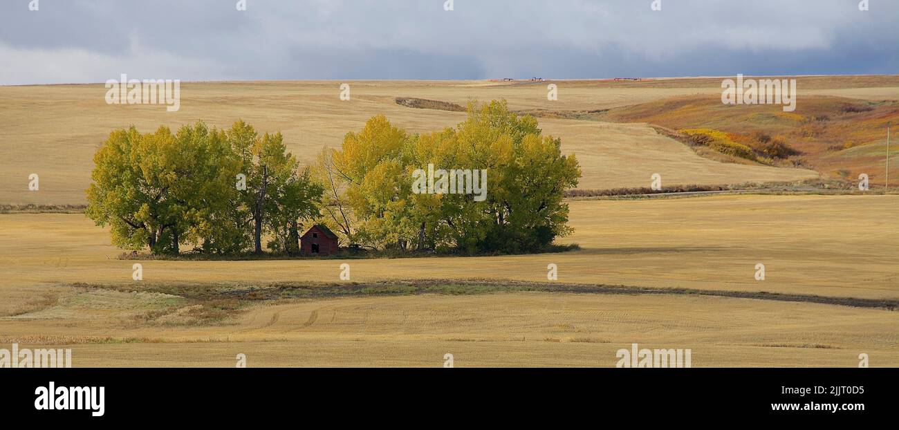 Une belle photo d'une petite maison entourée d'arbres dans un champ Banque D'Images