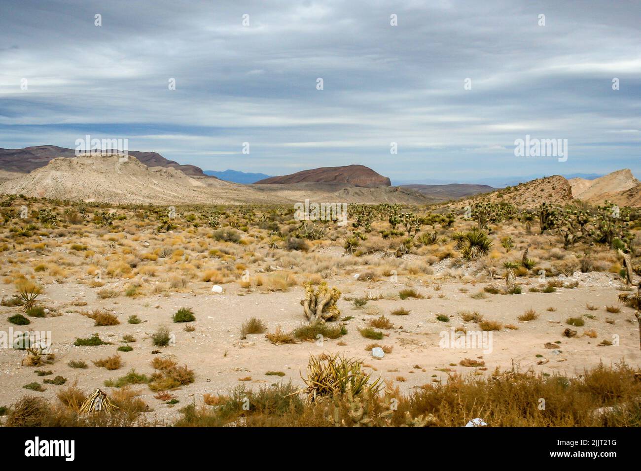Une belle vue sur le parc national de la vallée de la mort en Californie par une journée nuageux Banque D'Images