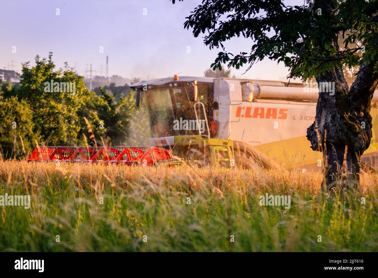Une récolte avec une moissonneuse-batteuse de Claas à Francfort, en Allemagne Banque D'Images