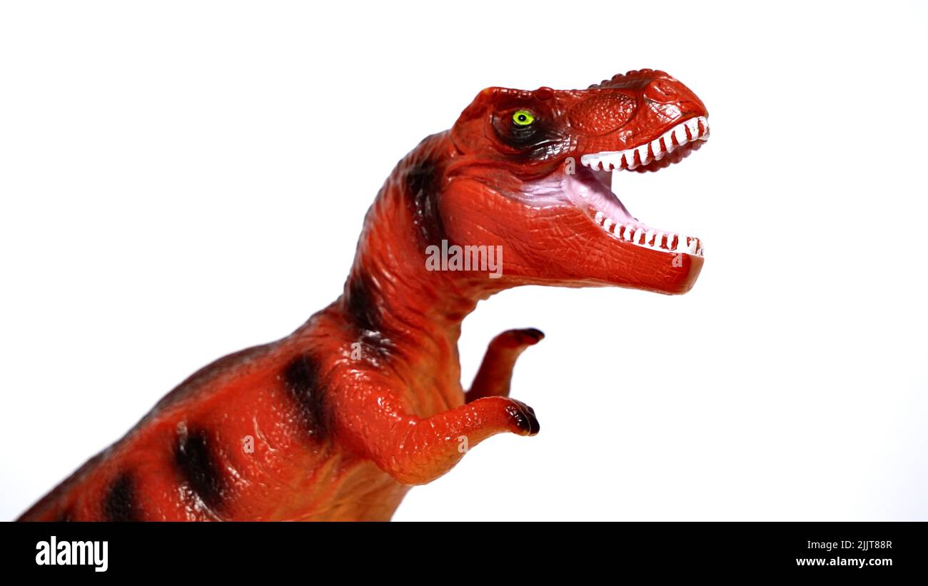 Un dinosaure rouge hurlant isolé sur fond blanc Banque D'Images