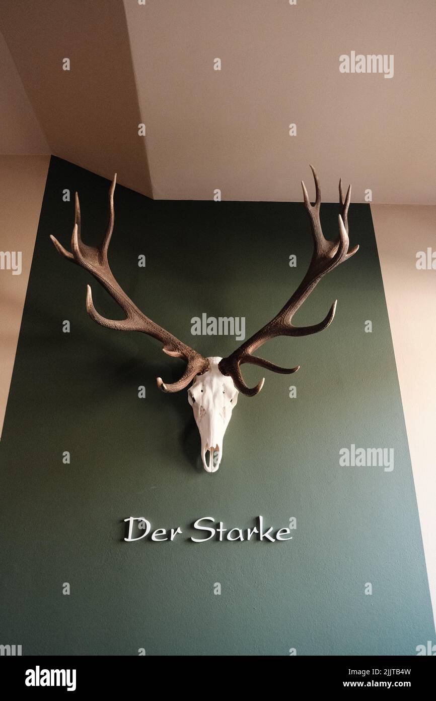Une verticale de cornes de cerfs et un squelette accroché à un mur dans un hôtel du Tyrol du Sud, Dolomites, Italie Banque D'Images